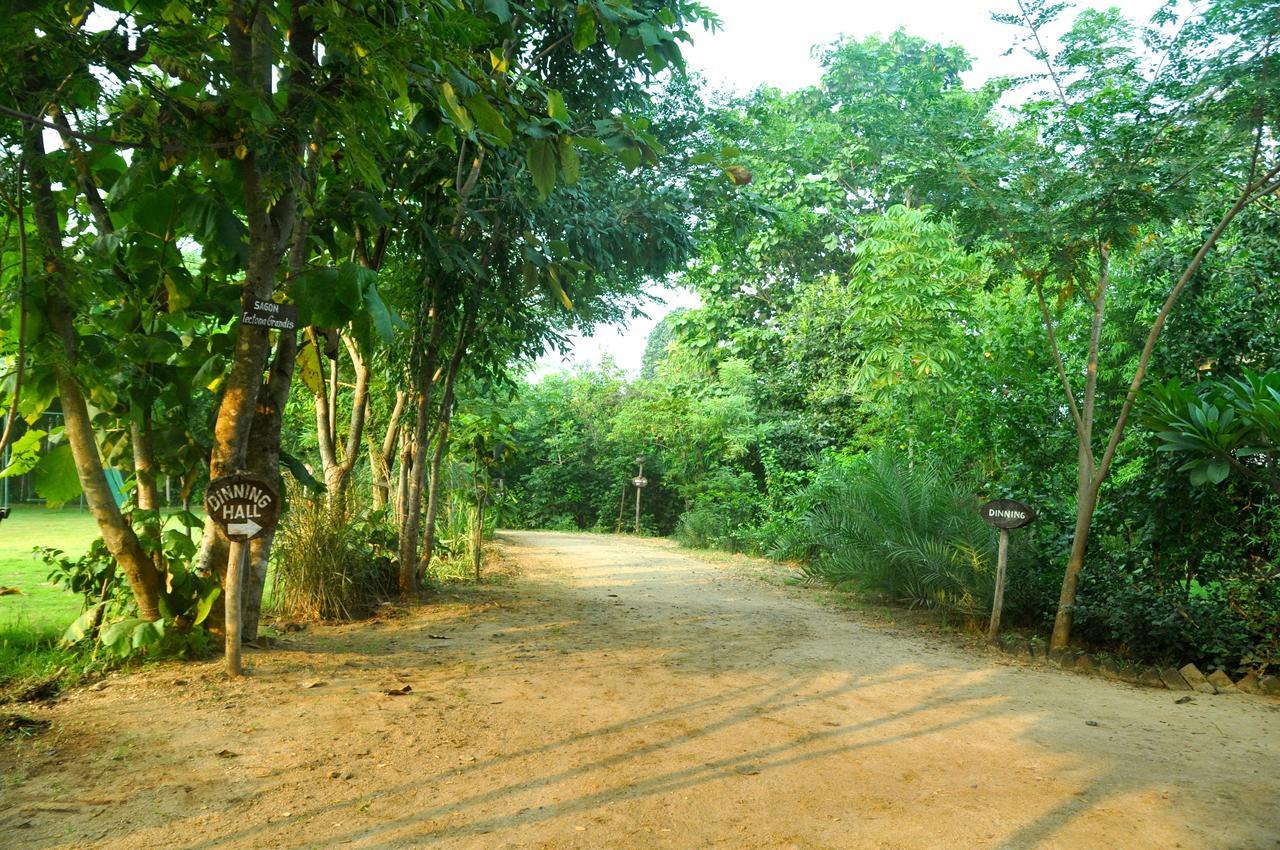 The Riverwood Forest Retreat Pench Khawāsa Dış mekan fotoğraf