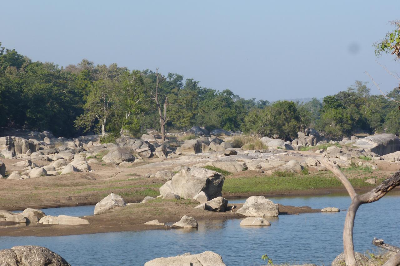The Riverwood Forest Retreat Pench Khawāsa Dış mekan fotoğraf